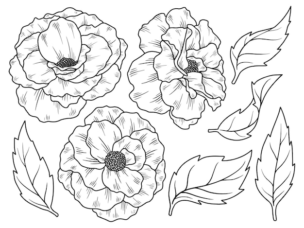 Rose flower and leaf line art collection