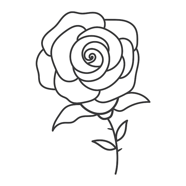 Rose flower line icon isolated flat design vector illustration