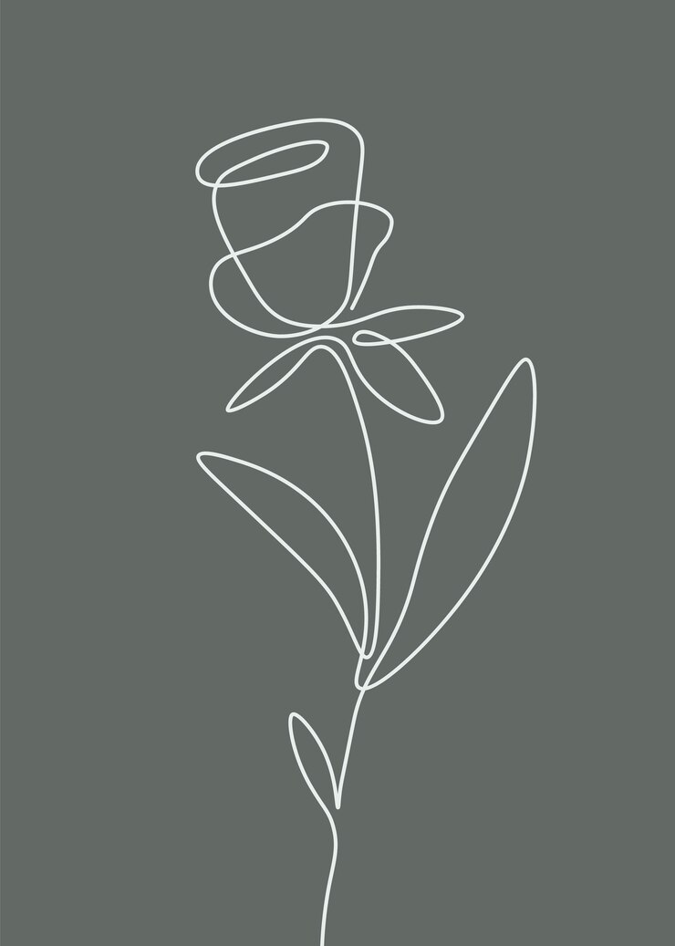 Vector rose flower outline background