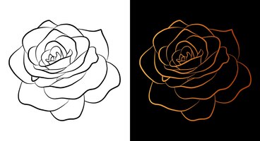 Rose flower outline icon simple doodle sketch line art style black and gold floral botany set beauty elegant logo design graphic isolated symbol drawing flat shape wedding tattoo card