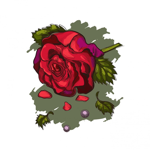 Rose flower and pearls isolated vector sketch.