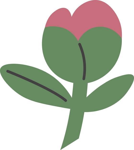 Vector rose flower plant