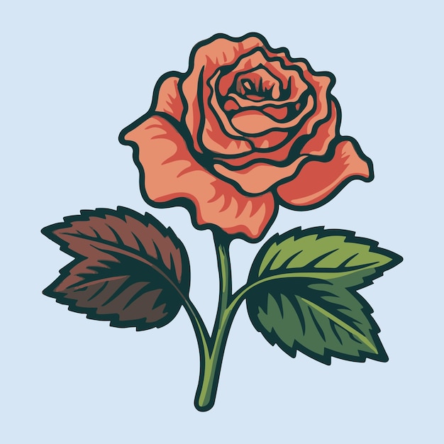Rose flower vector illustration