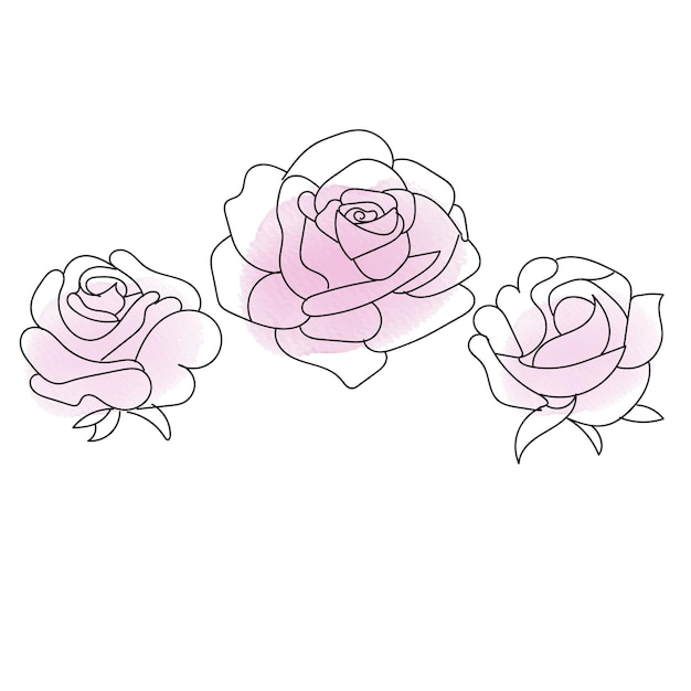 Rose flower vector line art minimal pink pastel illustration