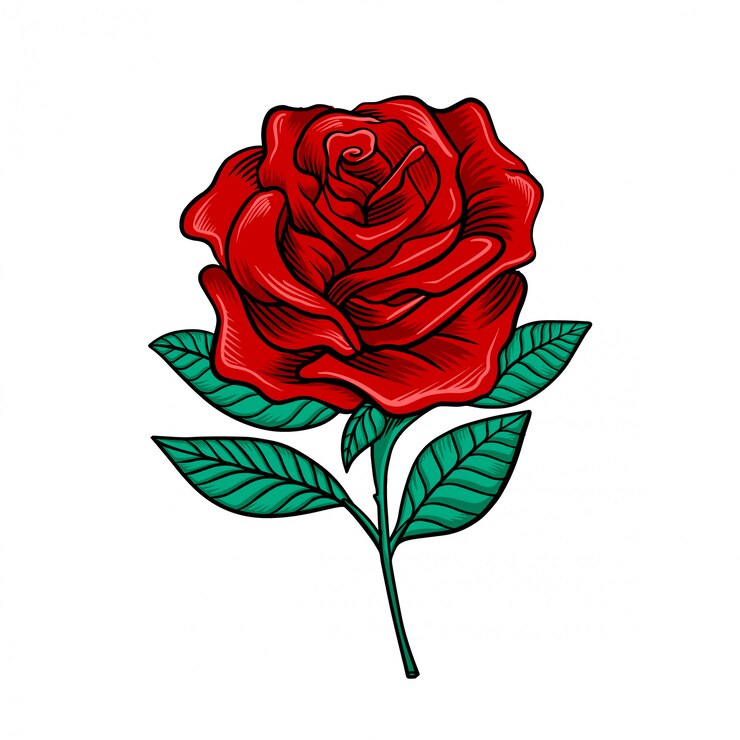 Vector rose flower vector
