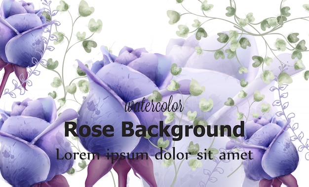 Rose flowers card background watercolor