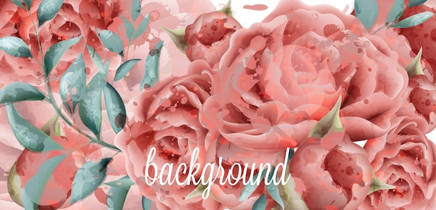 Vector rose flowers watercolor background