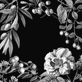 Cornice rosa vettoriale illustrazione botanica vintage e frutti su sfondo nero