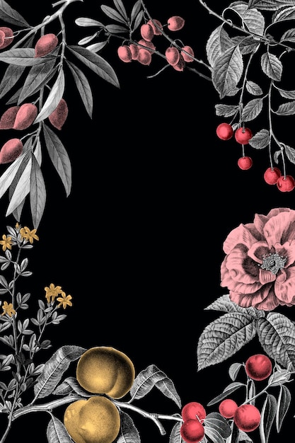 Роза кадр старинные цветочные векторные иллюстрации и фрукты на черном фоне