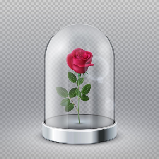 Rose in glass dome. isolated beautiful red flower under transparent flask. fairy tale symbol, beauty interior decoration vector illustration. rose bloom under glass, flower in flask dome