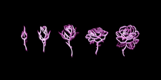 Vector rose grow light painting on black background removable
