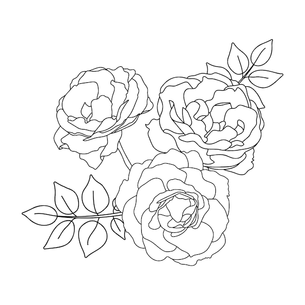 Rose hand drawn illustration in vecor sketches line art