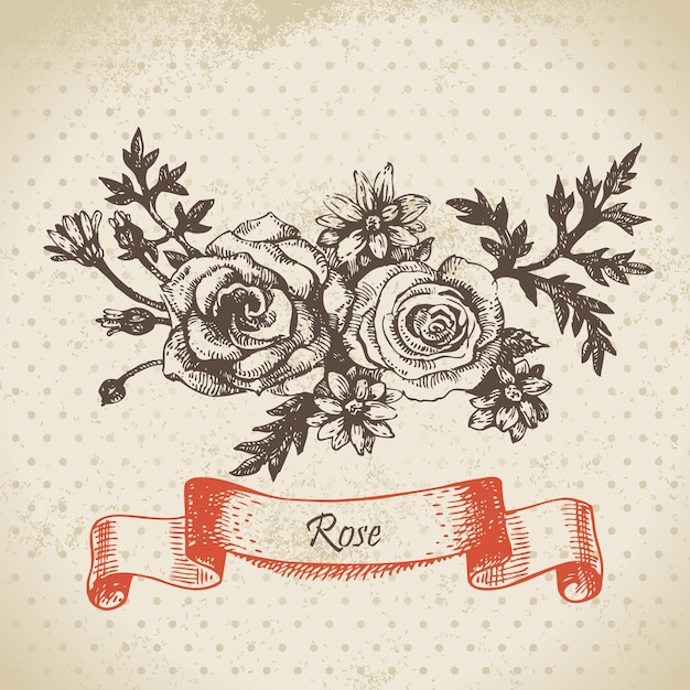 Rose. Hand drawn vintage design