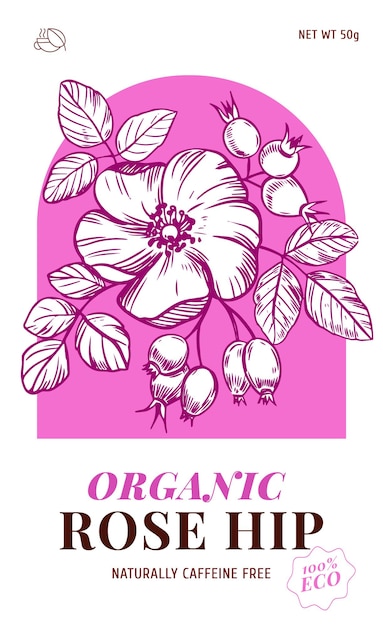 Набор ягод и листьев шиповника. Ручные рисунки травяных растений. Дизайн травяного чая. Эскиз векторной иллюстрации.