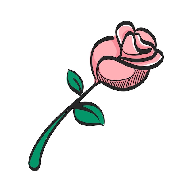 Vector rose icon in hand drawn color vector illustration