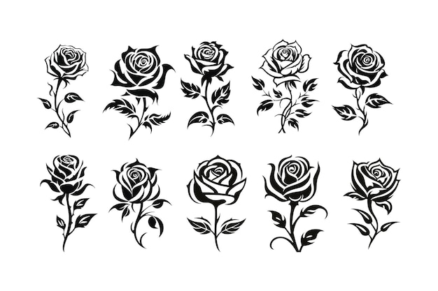 Rose illustration design collection