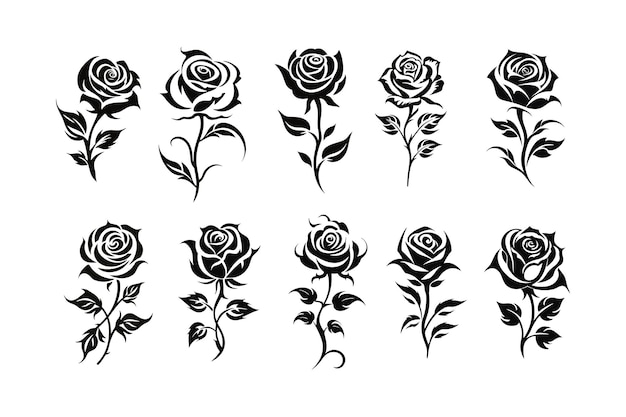 Collezione di disegni di illustrazioni di rose