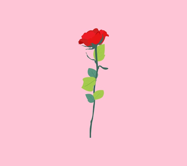 rose illustration