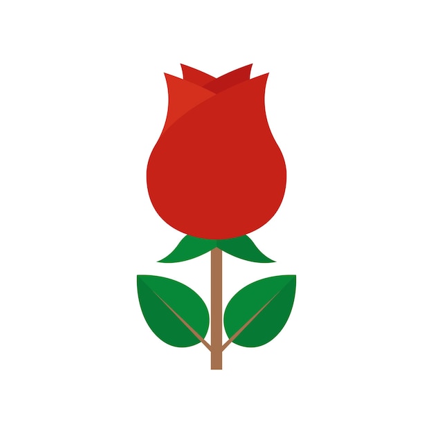 Rose illustrations set on transparent background