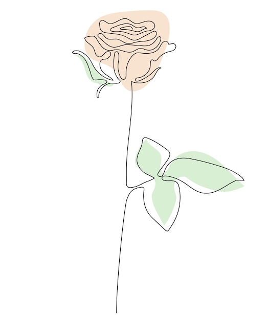 One Line Drawing of Rose Step by Step - YouTube