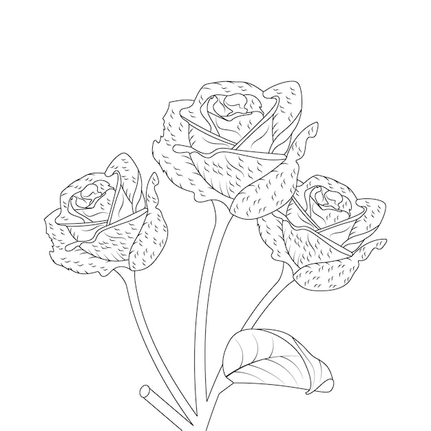 Rose line art flower coloring page con elemento botanico illustrazione vettoriale