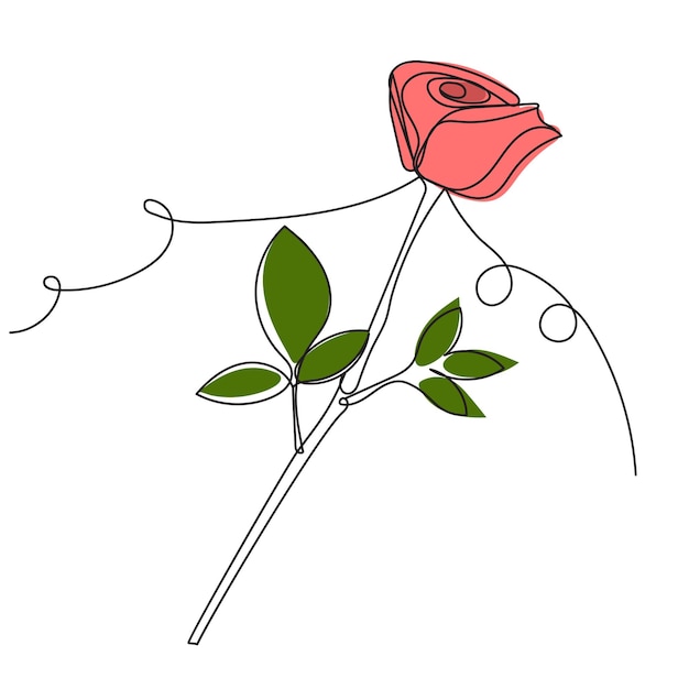 rose line drawing sketch vector