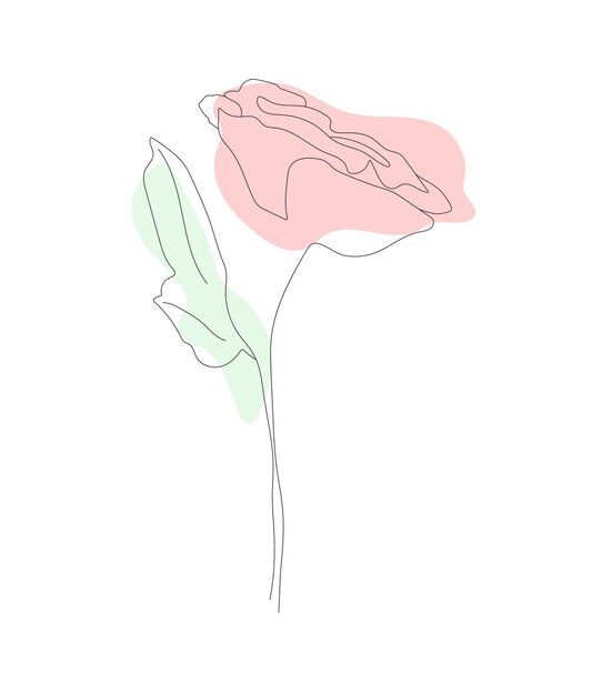 Rosa in stile lineare con macchie colorate. disegno in bianco e nero. post composizione. pianta. manifesto