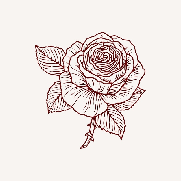 Rose met blad illustratie vector