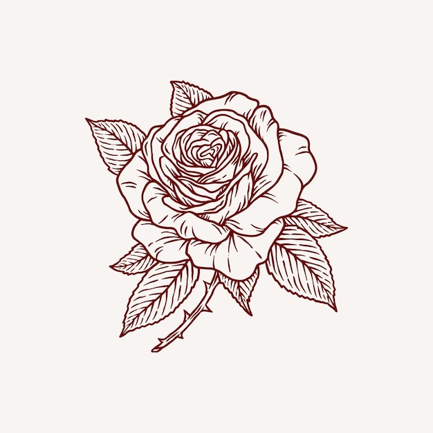 Rose met blad illustratie vector