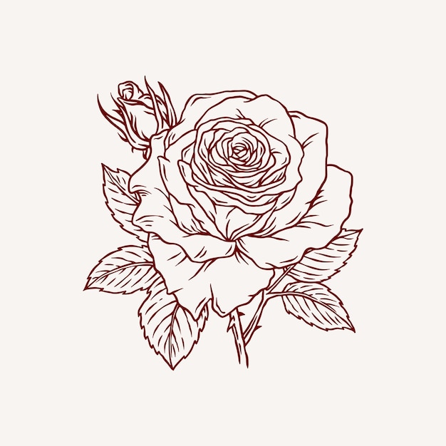Rose met blad illustratie vector
