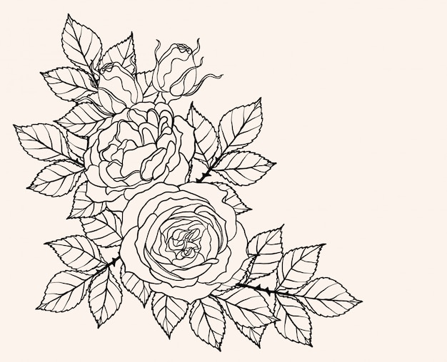 Rose ornament vector by hand drawing