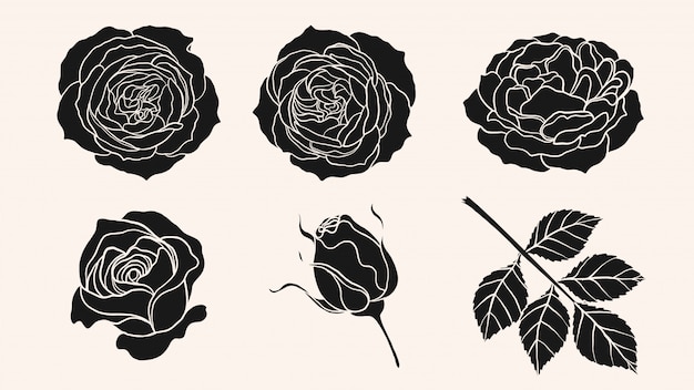 Vector rose ornament vector by hand drawing