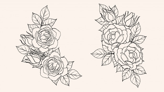 Rose ornament vector by hand drawing