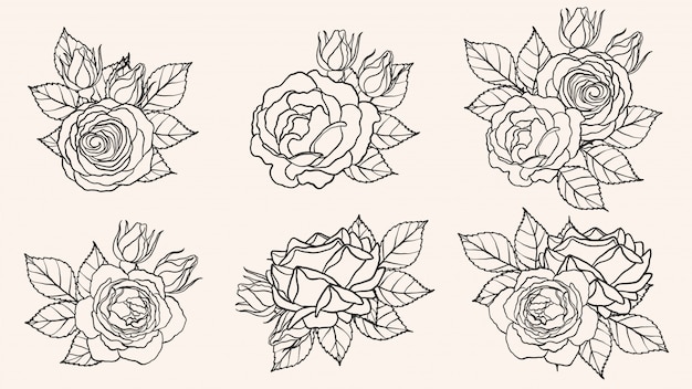 Vector rose ornament vector by hand drawing