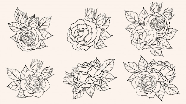 Rose Ornament Vector By Hand Drawing