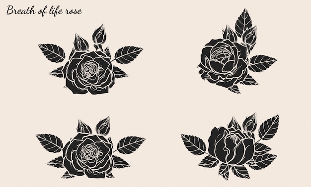 Rose ornament vector set by hand drawing