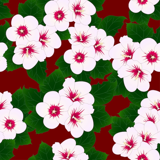 Rose of Sharon on Red Background