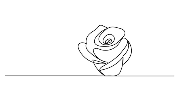 rose sketch on a white background vector