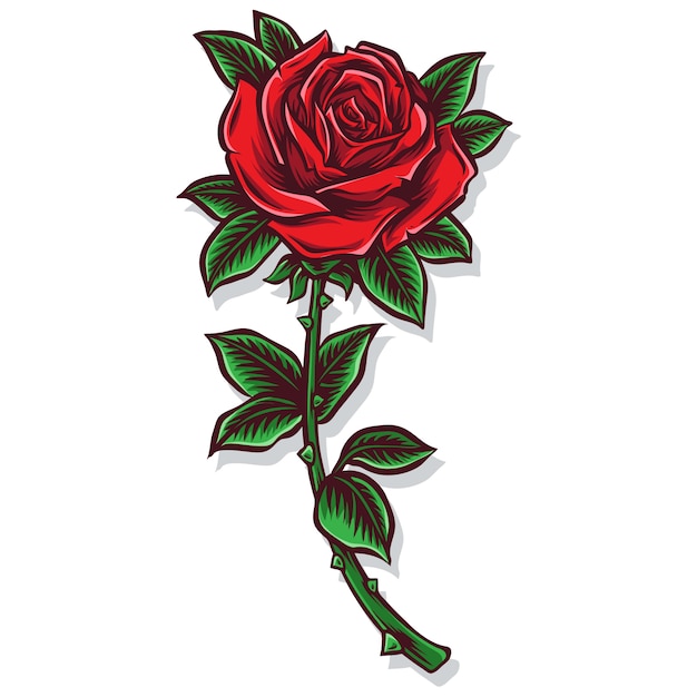 Vector rose stem vector and illustration