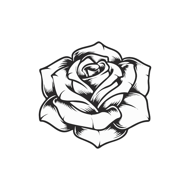 Rose Flower Color Drawing Vector Illustration. Tattoo Stencil. Lace Pattern  Royalty Free SVG, Cliparts, Vectors, and Stock Illustration. Image 69013492.