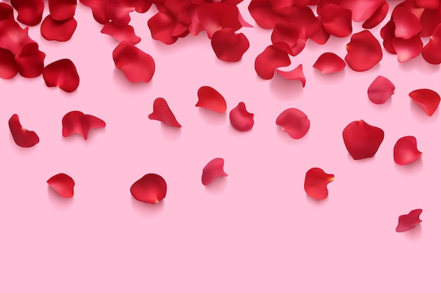 rose tulip red petals flower background holiday romantic greeting pink banner 3d realistic vector