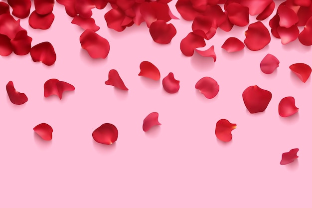 Vector rose tulip red petals flower background holiday romantic greeting pink banner 3d realistic vector