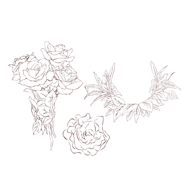 Rose vector bloemen illustratie deel van boeket bloemen met exotische blad omtrek tekenen op wit