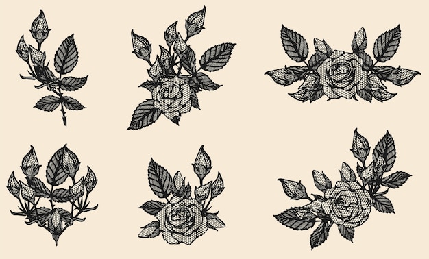 Rose vector lace by hand drawing