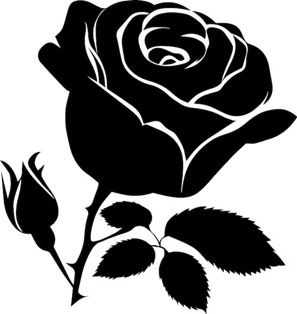 Rose vector silhouette illustration 16