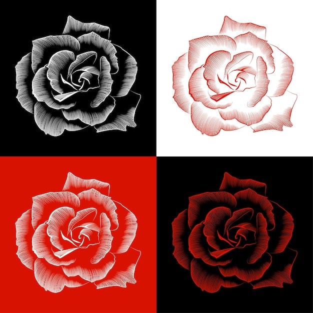 rose