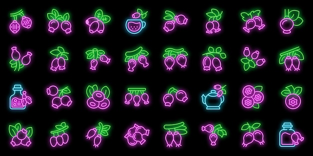 Rosehip icons set vector neon