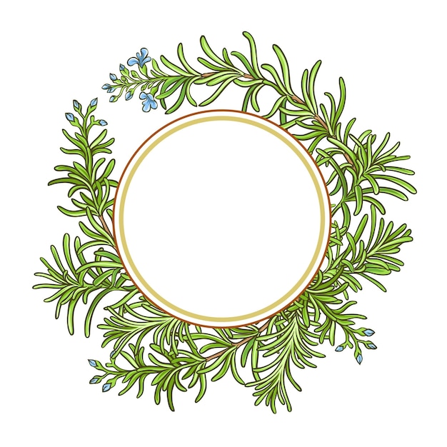 rosemary branch vector pattern on whte background