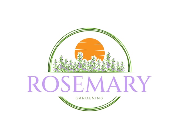 Vector rosemary garden bedrijfslogoontwerp sjabloon