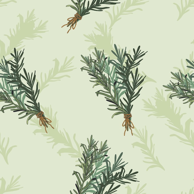 Rosemary hand drawn seamless pattern vector illustration Rosemary spice and cooking herb